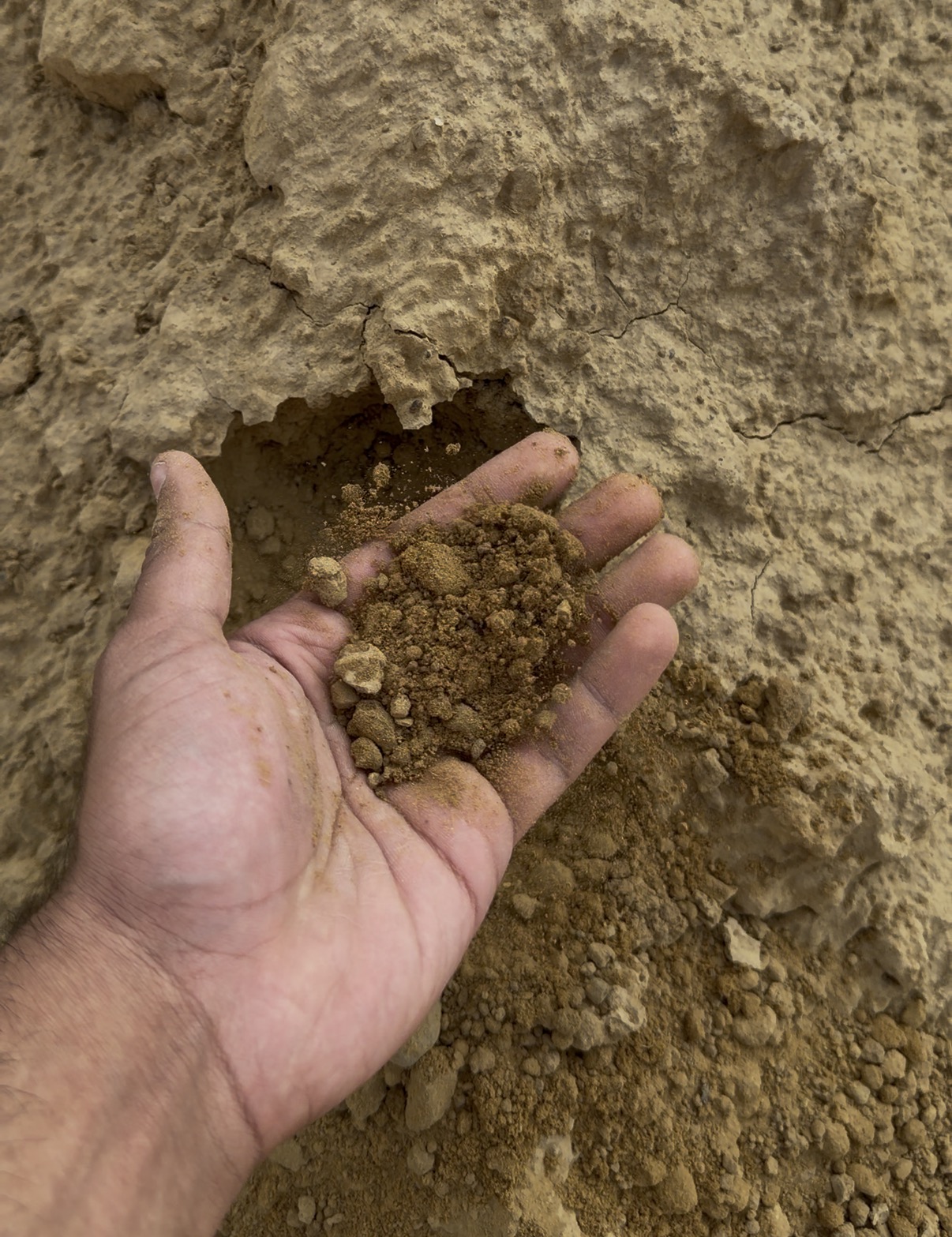 Soil selection